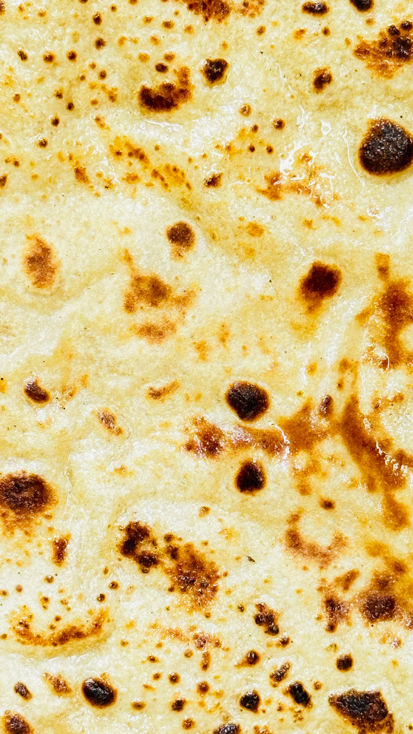 Plain Paratha